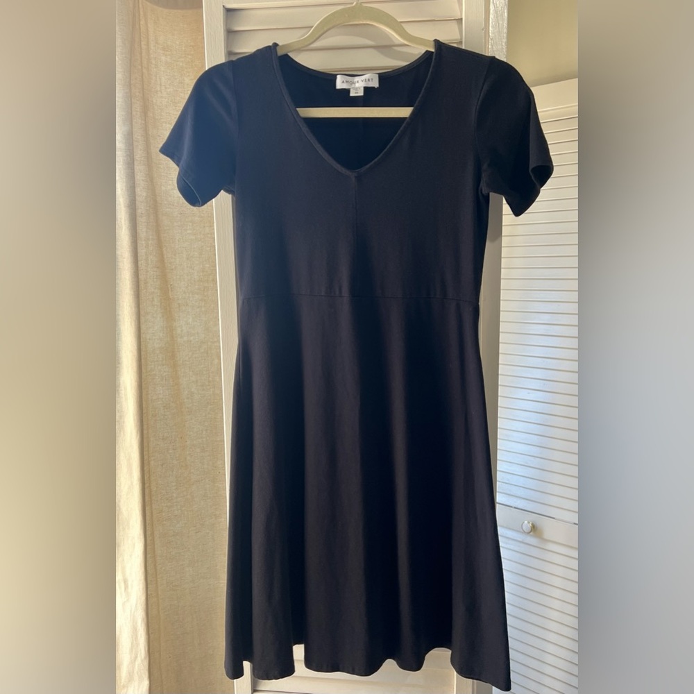 Amour Vert Black Flutter Skater Dress